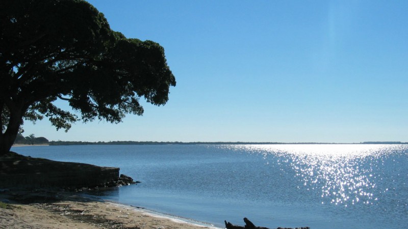 Praia de de &aacute;gua doce de S&atilde;o Louren&ccedil;o do Sul, Rio Grande do Sul, com &aacute;rvore &agrave;s margens da Lagoa dos Patos