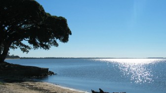 Praia de de &aacute;gua doce de S&atilde;o Louren&ccedil;o do Sul, Rio Grande do Sul, com &aacute;rvore &agrave;s margens da Lagoa dos Patos