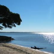 Praia de de &aacute;gua doce de S&atilde;o Louren&ccedil;o do Sul, Rio Grande do Sul, com &aacute;rvore &agrave;s margens da Lagoa dos Patos