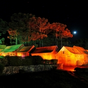 Casas t&iacute;picas de madeira da serra ga&uacute;cha iluminadas &agrave; noite, sob as arauc&aacute;rias, em noite de lua cheia.